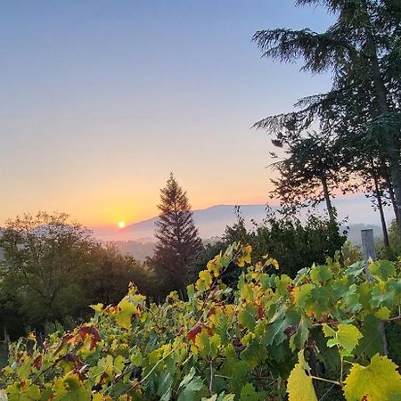 "Il Casaletto" Agriturismo Moderno, Vista Panoramica E Cibo Spettacolare- Scurcola Marsicana Villa Buitenkant foto