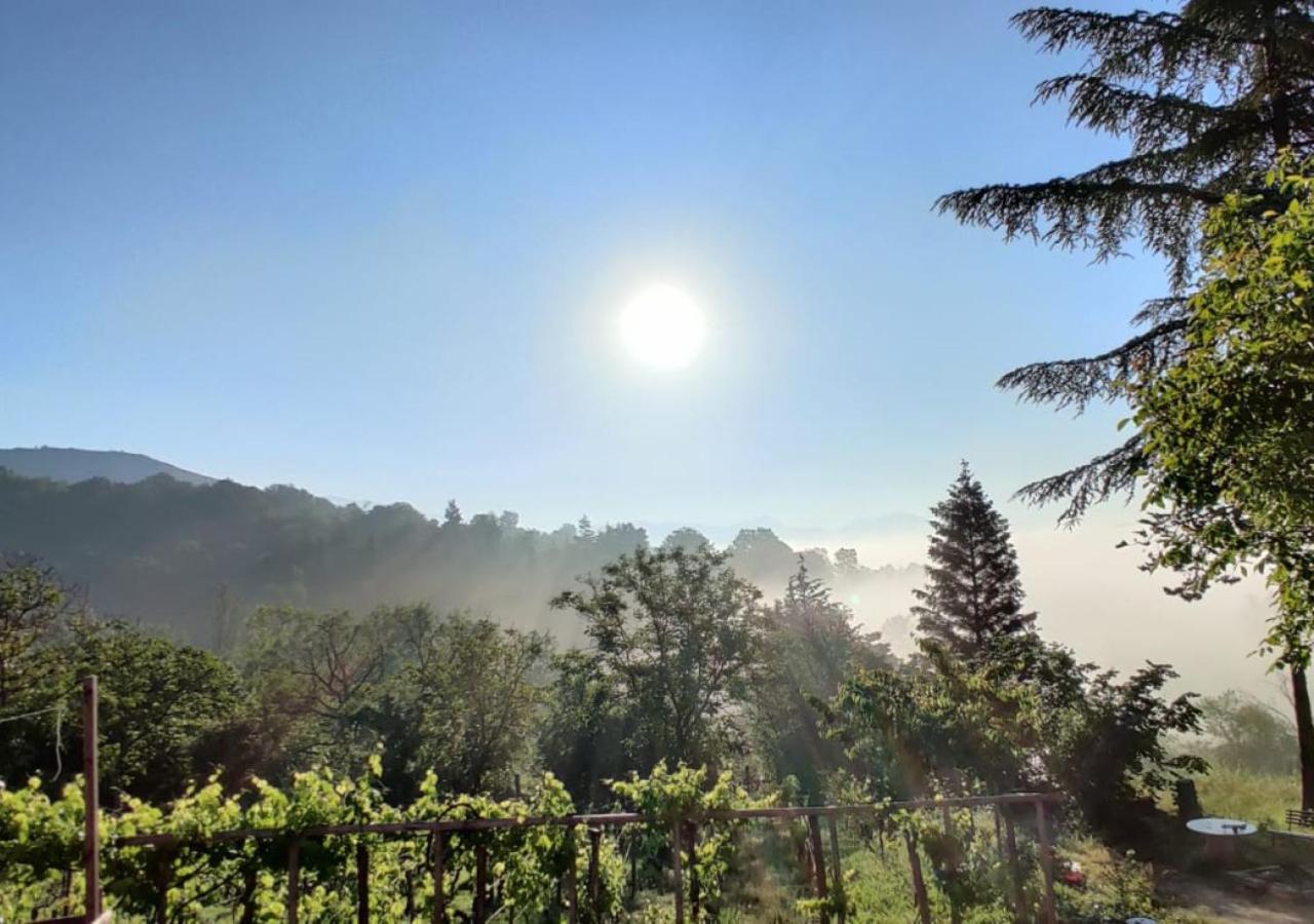 "Il Casaletto" Agriturismo Moderno, Vista Panoramica E Cibo Spettacolare- Scurcola Marsicana Villa Buitenkant foto