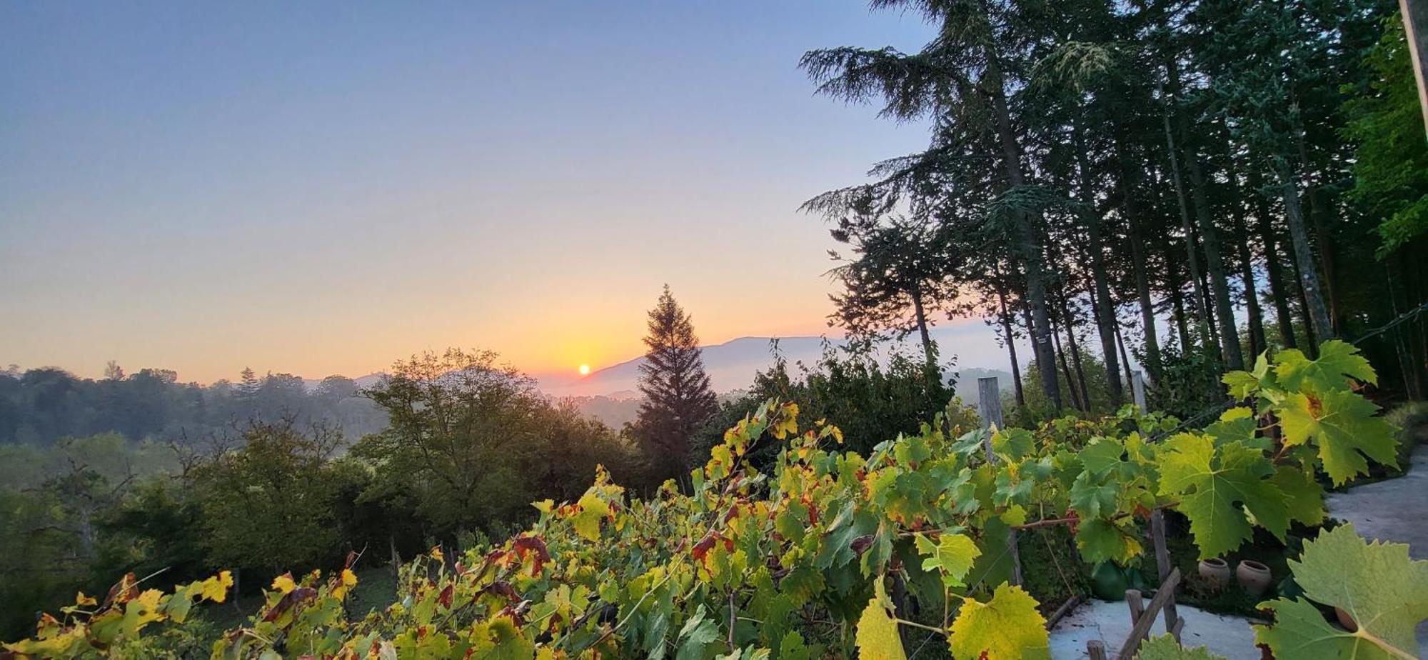 "Il Casaletto" Agriturismo Moderno, Vista Panoramica E Cibo Spettacolare- Scurcola Marsicana Villa Buitenkant foto