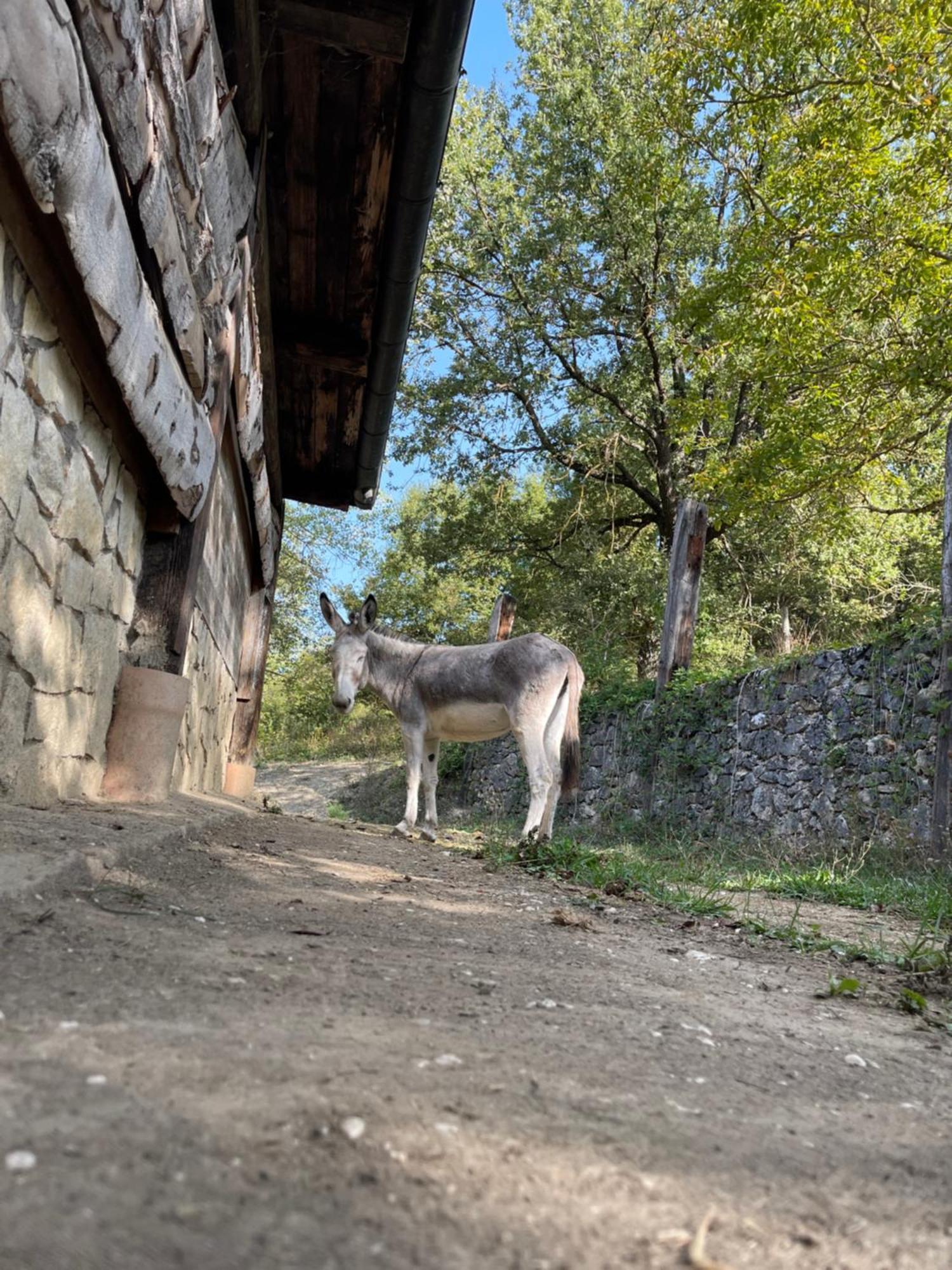 "Il Casaletto" Agriturismo Moderno, Vista Panoramica E Cibo Spettacolare- Scurcola Marsicana Buitenkant foto