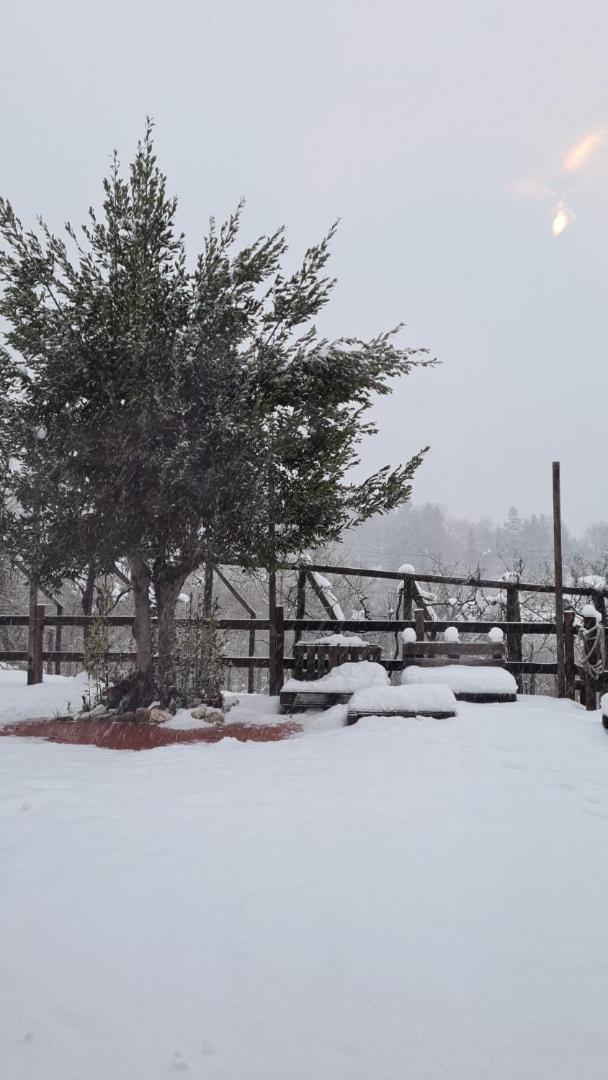 "Il Casaletto" Agriturismo Moderno, Vista Panoramica E Cibo Spettacolare- Scurcola Marsicana Buitenkant foto